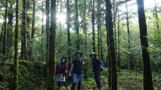 屋久島　縄文杉トレッキング　トレッキング