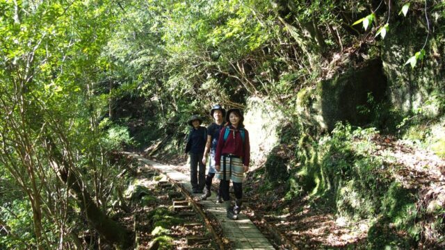 屋久島　縄文杉トレッキング　トレッキング