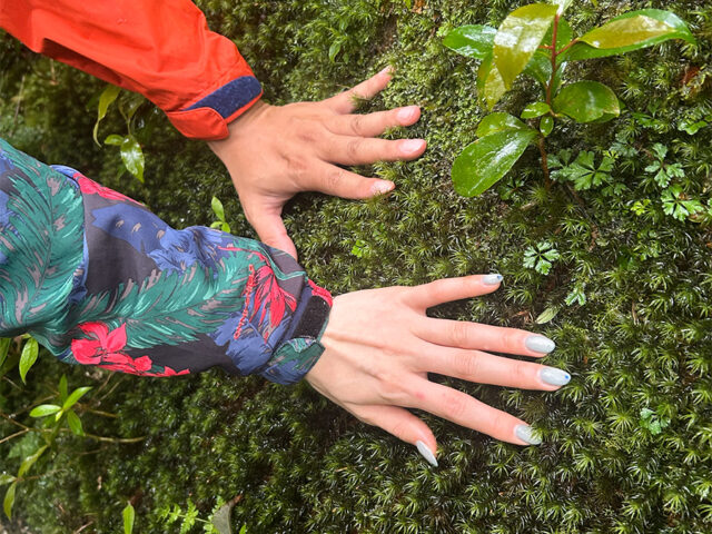白谷雲水狭、トレッキング、屋久島、苔