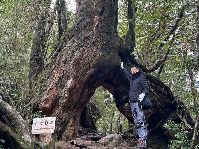 白谷雲水狭、トレッキング、くぐり杉