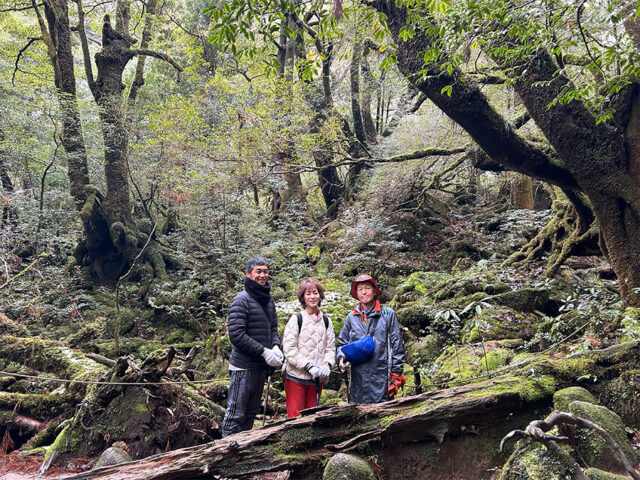 白谷雲水狭、トレッキング、屋久島、苔むす森