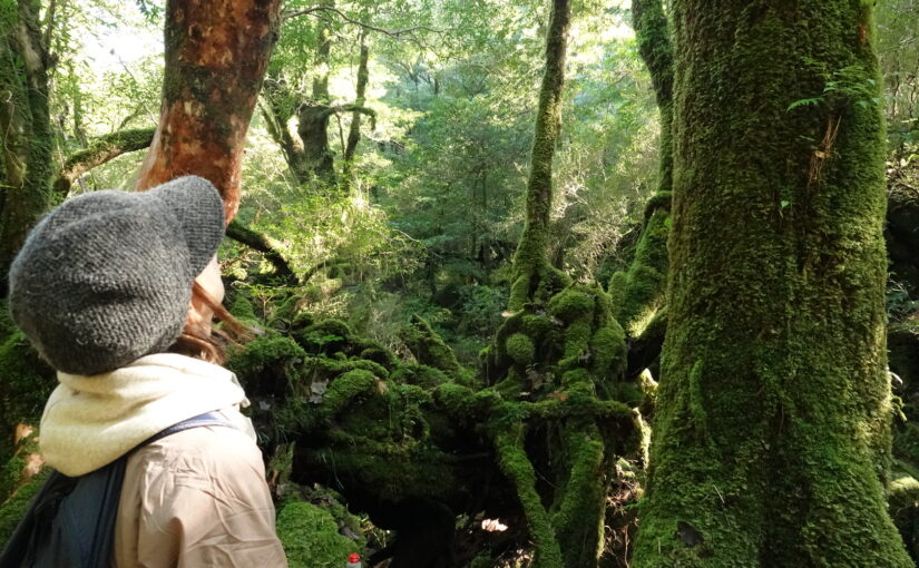 白谷雲水狭、トレッキング