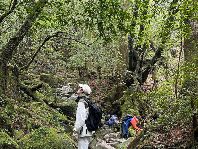 白谷雲水狭、トレッキング、屋久島