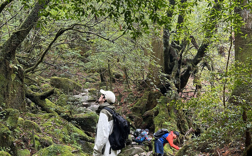 白谷雲水狭、トレッキング、屋久島