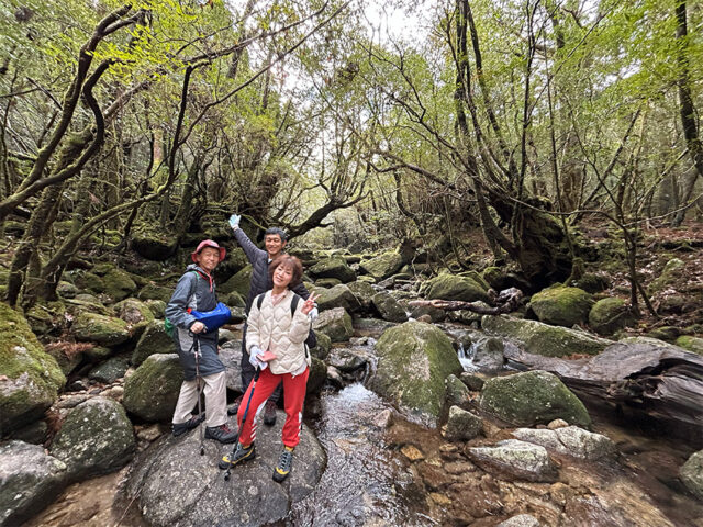 白谷雲水狭、トレッキング、屋久島、苔むす森