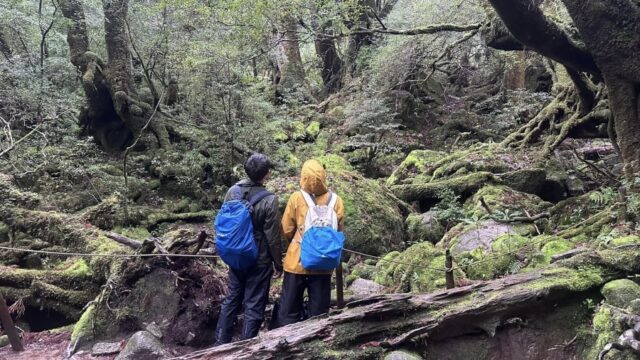 【難易度別】おすすめ屋久島登山・トレッキングコース紹介！屋久島の自然を満喫しよう