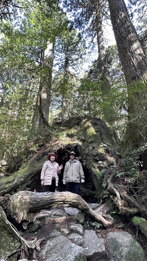 【屋久島/約3.5時間】子供も一緒に参加OK！屋久島の代表的な森の一つ『ヤクスギランド』から『紀元杉』を巡るトレッキングツアー（No.21）