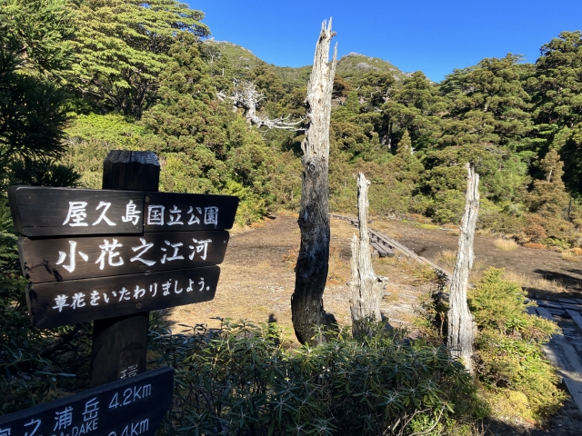 宮之浦岳コースのルート・標高