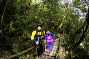 【屋久島】断然オトク！体力に自信ない方にもおすすめ★白谷雲水峡『もののけの森』トレッキング＆島内観光ツアー