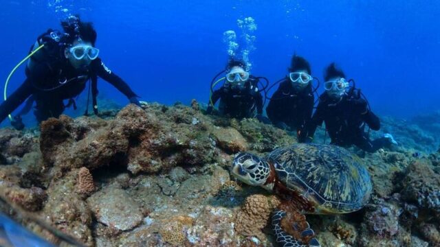 体験ダイビング