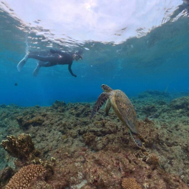 シュノーケリング、360度カメラ