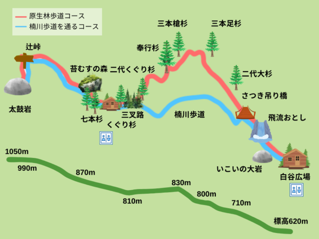 屋久島の白谷雲水峡｜所要時間やコース詳細について徹底調査