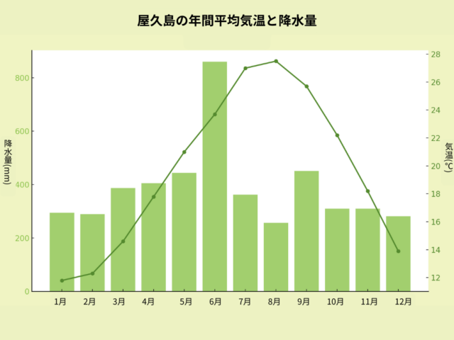 縄文杉登山は初心者にきつい？ツアーの選び方や難易度を徹底解説