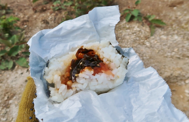 おにぎり、ランチ、昼食