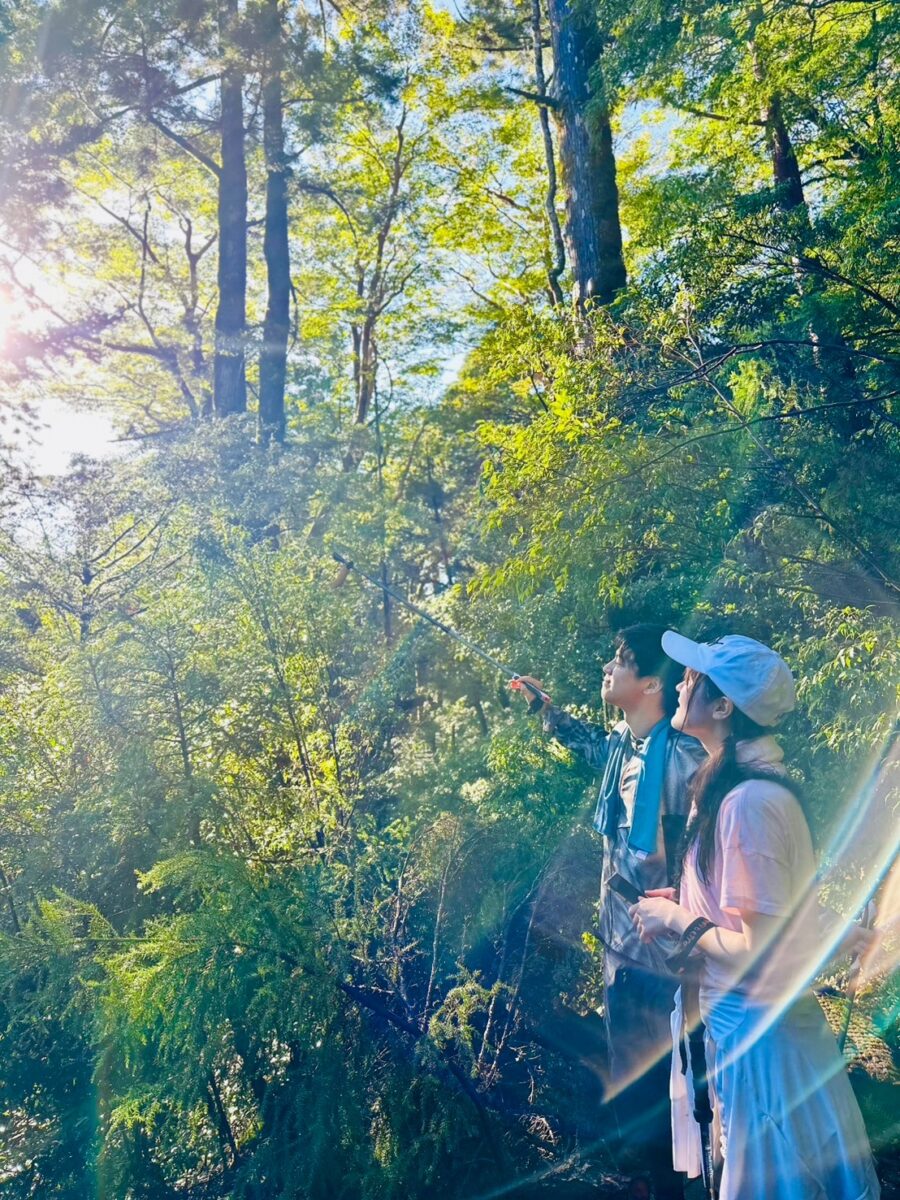 【ヤクスギランド・トレッキング】森林浴専門ガイドが貸切でご案内！ヤクスギランドでお客様に合わせた最適コースを巡る1日プラン《プライベートで希望に合わせて一味違うツアー》（No.17）