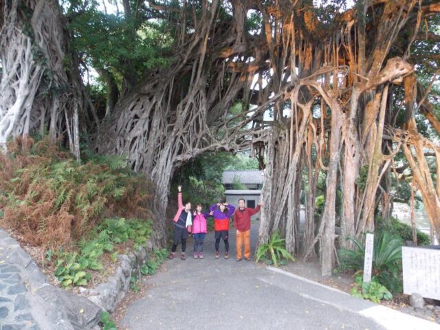 屋久島の絶景スポット「大川の滝」へ！行き方・観光ルートを徹底解説