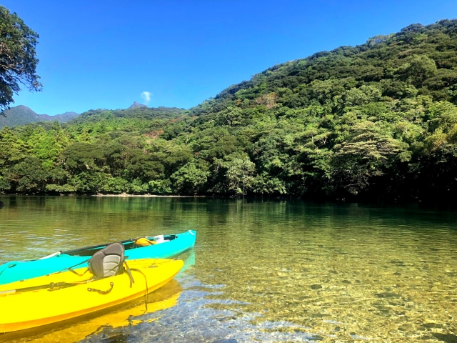 屋久島「安房エリア」の魅力を徹底紹介！観光スポット、アクセス方法、宿泊情報を網羅♪