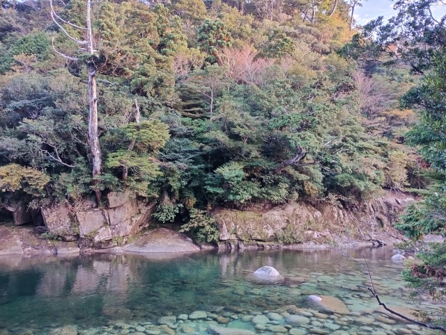 屋久島「安房エリア」の魅力を徹底紹介！観光スポット、アクセス方法、宿泊情報を網羅♪