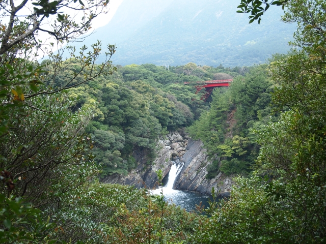 屋久島の滝ランキング！観光で外せない絶景＆アクセス情報まとめ