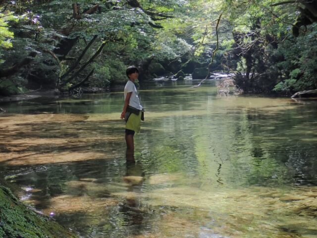 屋久島の川で森林浴を楽しむ様子