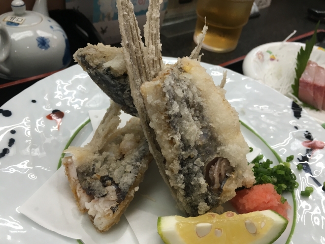 【最新版グルメ】屋久島ランチ完全ガイド：地元民おすすめの人気店8選