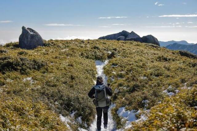 屋久島・宮之浦岳登山完全ガイド｜初心者必見コースと装備まとめ