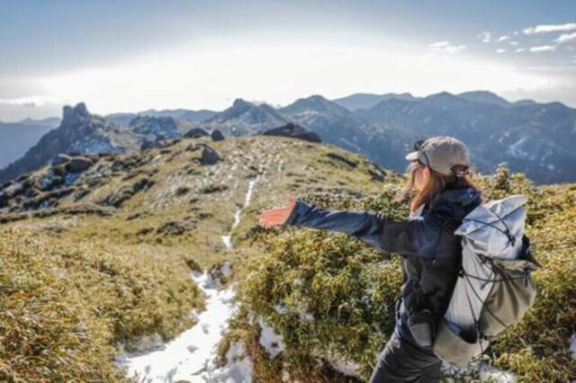 屋久島・愛子岳登山ガイド｜中上級者向けルートと絶景を徹底解説