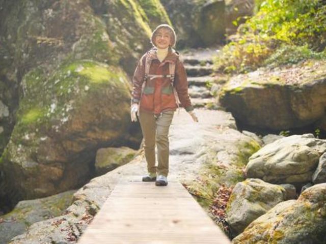 整備された山の遊歩道（木道）を、ストックを使わず元気に歩く登山スタイルのシニア女性。