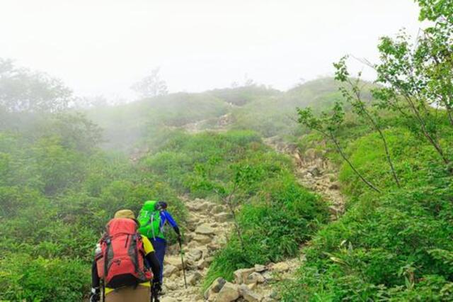屋久島・太鼓岩の絶景に感動！白谷雲水峡トレッキング完全ガイド