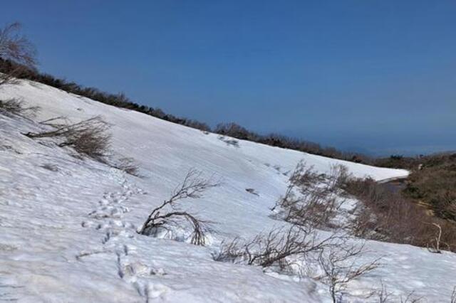 屋久島・宮之浦岳登山完全ガイド｜初心者必見コースと装備まとめ