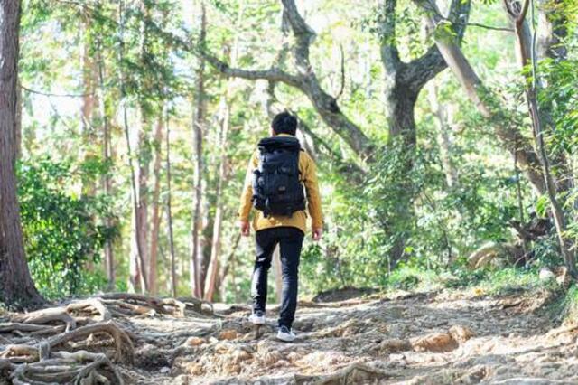 ヤクスギランドを満喫！屋久島の自然を満喫するコース・服装・アクセス情報まとめ