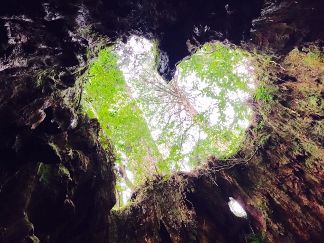 屋久島・宮之浦岳登山完全ガイド｜初心者必見コースと装備まとめ