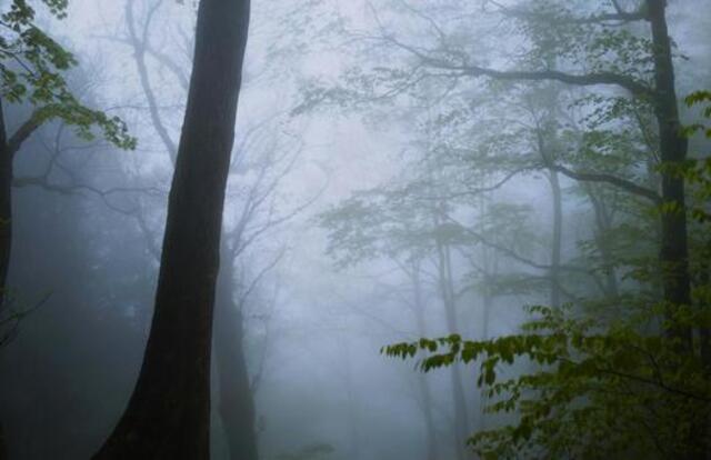 屋久島・宮之浦岳登山完全ガイド｜初心者必見コースと装備まとめ