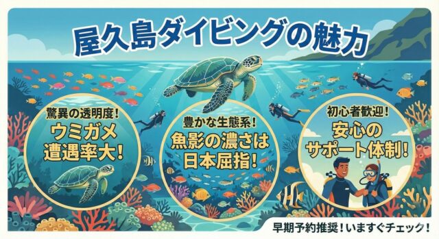 屋久島のダイビングとは