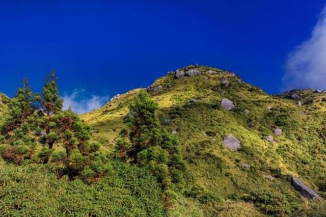 屋久島・宮之浦岳登山完全ガイド｜初心者必見コースと装備まとめ