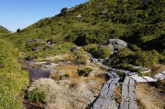 屋久島・宮之浦岳登山完全ガイド｜初心者必見コースと装備まとめ