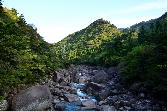 屋久島・愛子岳登山ガイド｜中上級者向けルートと絶景を徹底解説