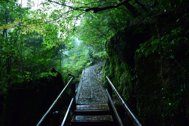 屋久島の絶景スポット「大川の滝」へ！行き方・観光ルートを徹底解説