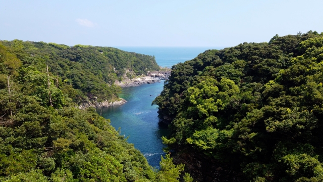 屋久島の海に沿って広がる緑豊かな山々を一望できる風景