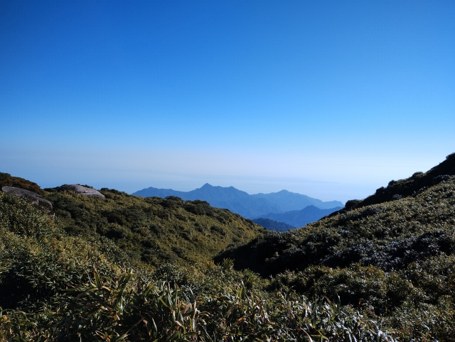 屋久島・愛子岳登山ガイド｜中上級者向けルートと絶景を徹底解説