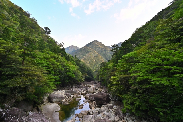 屋久島・愛子岳登山ガイド｜中上級者向けルートと絶景を徹底解説