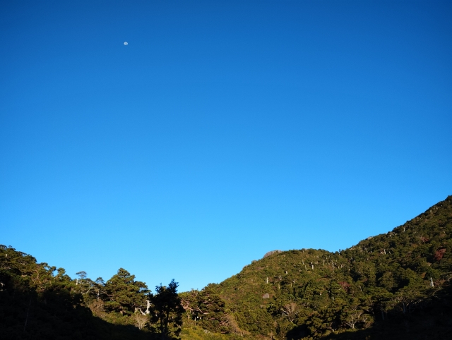 屋久島・愛子岳登山ガイド｜中上級者向けルートと絶景を徹底解説