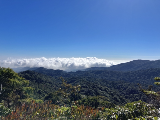 屋久島・愛子岳登山ガイド｜中上級者向けルートと絶景を徹底解説