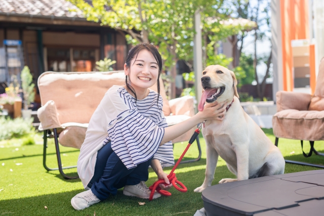 屋久島犬　ペット　ホテル