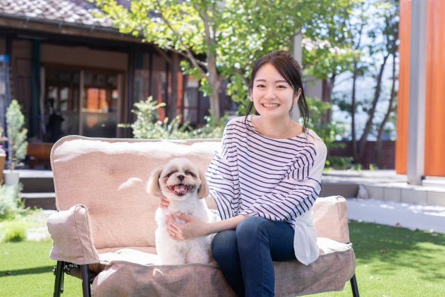 屋久島犬　ペット　ホテル