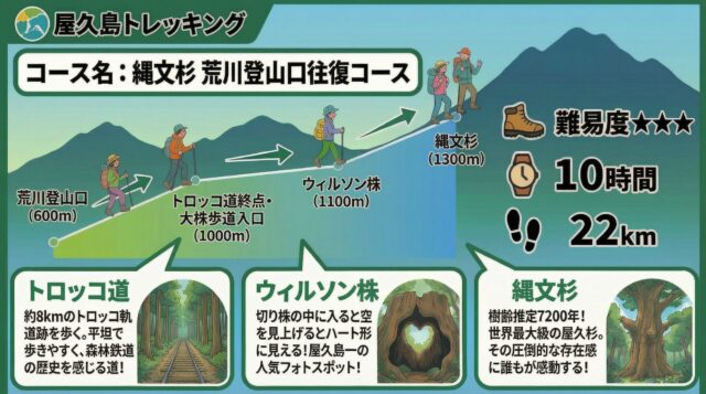 縄文杉 荒川登山口往復コース