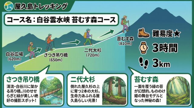 白谷雲水峡 苔むす森コース