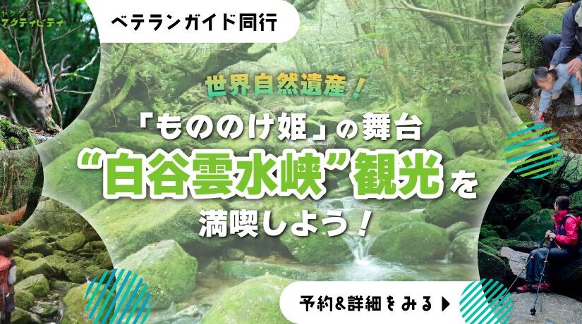 白谷雲水峡KV_pc