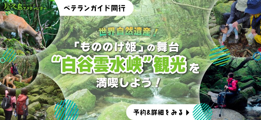 白谷雲水峡KV_pc
