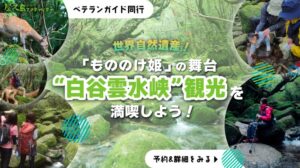 白谷雲水峡KV_sp